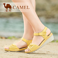 Camel/骆驼 A81553607