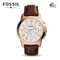 Fossil/化石 FS4991