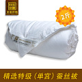 China Golden Silk/金蚕丝情 01-122W8