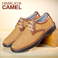 HIMALAYA CAMEL/喜马拉雅骆驼 Q522019050