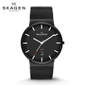 SKAGEN SKW6053