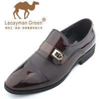 Lecayman Green 8231