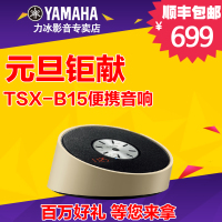 Yamaha/雅马哈 TSX-B15