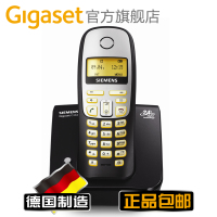 Gigaset/集怡嘉 C360系统单主机