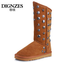 Dignzes/尊积 D12QXX001