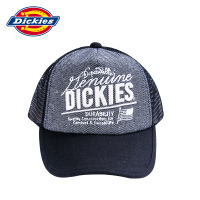 Dickies 141U90EC11