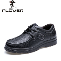 Plover pl14q19003