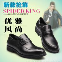 SPIDER KING/蜘蛛王 163Q095010