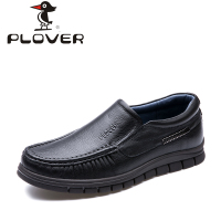 Plover pl14q81002