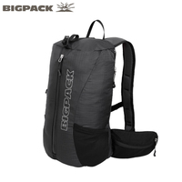 Bigpack/派格 400020