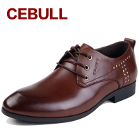 CEBULL/牛策 6639