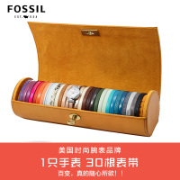 Fossil/化石 ES3717