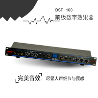 广久海豚 DSP-100