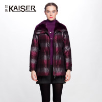 Kaiser/凯撒 KFWDH11301