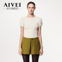 AIVEI 12IP407