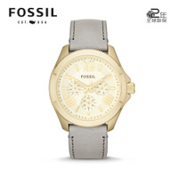 Fossil/化石 Am4529