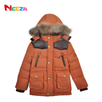 Neeza BJ13D01615