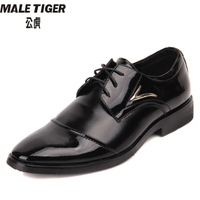 MALE TIGER/公虎 566