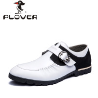 Plover pl14c10991