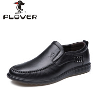 Plover PL14Q15001