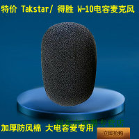 Takstar/得胜 W-10