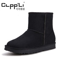 clpp＇li 8812-1