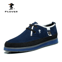 Plover skA00001