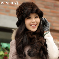 Winlily G20