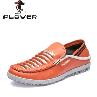 Plover PL14C09120