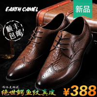 EARTHCAMEL/神州骆驼 A9H3950