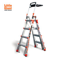 LITTLE GIANT 12317