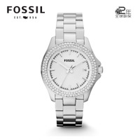 Fossil/化石 AM4452-1