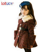 LOTUCY 1GZE041