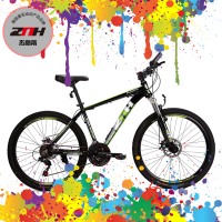 Z·N·H BIKES mt12plus