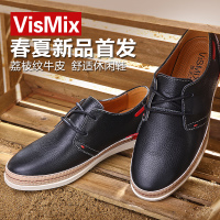 VISMIX D501