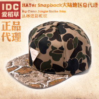 Hater snapback 1011