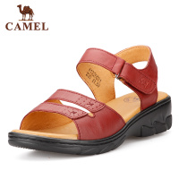 Camel/骆驼 A91326031