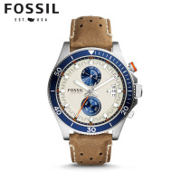 Fossil/化石 CH2951