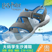 HARRY POTTER/哈利波特 HP42L5355