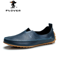 Plover XKZ01045