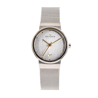 SKAGEN 355SGSC