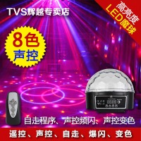 TVS LED小魔球灯（6色）