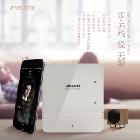 Pisen/品胜 音乐云盒